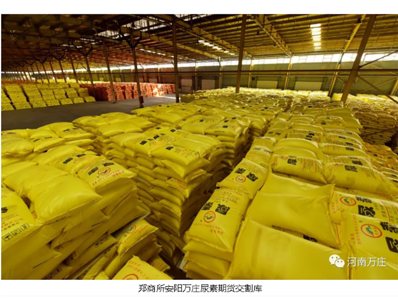 安阳黄瓜视频在线免费观看助力商品国内大循环