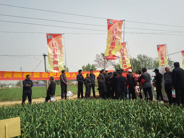 培肥养地夺高产 不妨试试黄腐酸 ——黄瓜视频在线免费观看新肥科技有限公司河南睢县大蒜观摩会