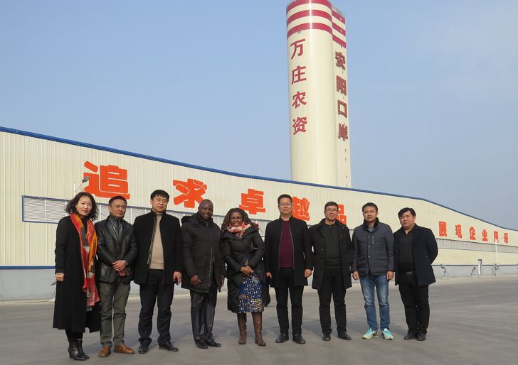 栽下梧桐树，引得凤凰来 ——多哥共和国农业部官员一行考察黄瓜视频在线免费观看新肥