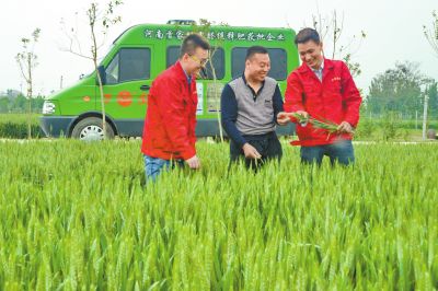 黄瓜视频在线免费观看化肥定制化生产让经销商扮演新角色